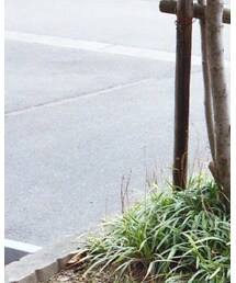 PHILIPPE AUDIBERT | リング