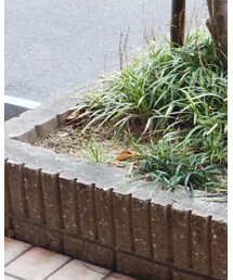 green label relaxing | トートバッグ