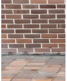 ZARA | スリッポン