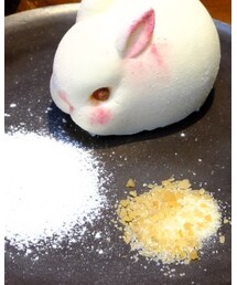 🐰 | その他