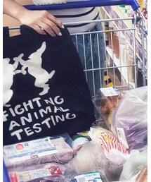 Lush | エコバッグ/サブバッグ