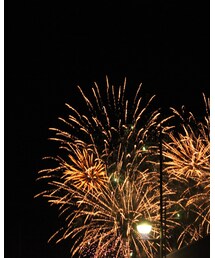 花火 | その他