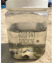 お魚さん | ダイソーの持ち手付きオサレ容器が大活躍！(その他)