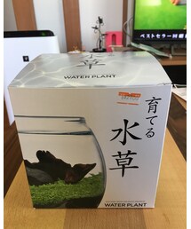 育てる水草 | その他