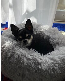 ⭐️ルリだけの写真 | ⭐️ルリだけの写真⭐️(その他)