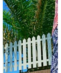 頂き物 | その他パンツ