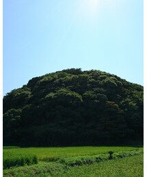 ジブリっぽい🌿 | その他