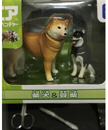 TAKARA TOMY | フィギュア