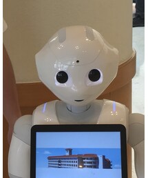Ｐepper | その他