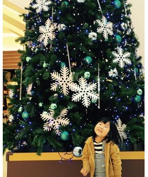 🎄 | その他