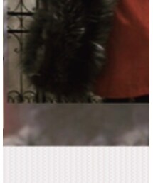 Dignite collier | ストール/ショール