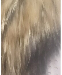 MURIEL&MERCURIA | ダウンジャケット/コート