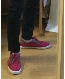 LACOSTE | スニーカー