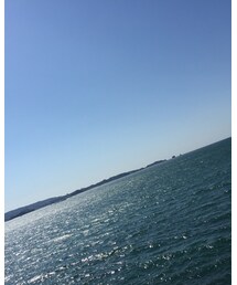 wakayama | その他