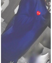 COMME des GARCONS | ニット/セーター