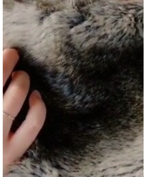 brand ? | ストール/ショール