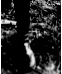 RED WING | ブーツ