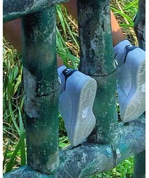 adidas Originals | スニーカー