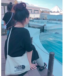 🐬💕 | その他