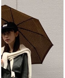 LOUIS VUITTON | 長傘