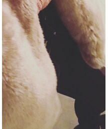 EMODA | デニムパンツ