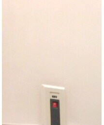 ciao | シャツ/ブラウス