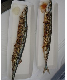 秋刀魚祭り | その他