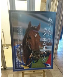 テイエムオペラオー | その他