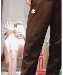 adidas Originals | パンツ