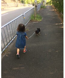 犬のお散歩♡ | その他