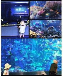 鳥羽水族館 | その他