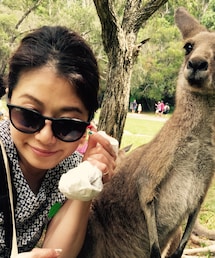 Ray-Ban | サングラス