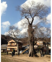 八日目の蝉撮影現場in小豆島 | 家具