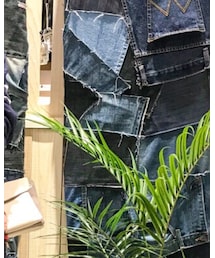 Naughty dog | ニット/セーター