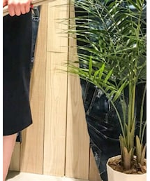 Naughty dog | スカート