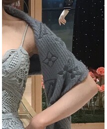 LOUIS VUITTON | マフラー