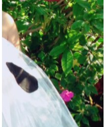 Handmade | ドレス