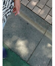 TOMS | スリッポン