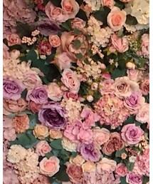 CASH CA | ニット/セーター