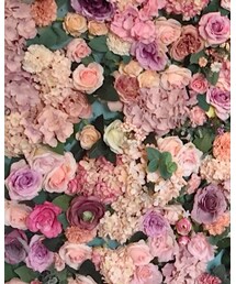 渔。 | スカート