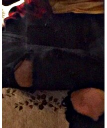 Levi's | デニムパンツ