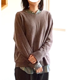 HAOLU | コットンカシミヤニット lino (ニット/セーター)