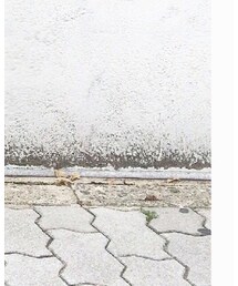 MM6 Maison Margiela | その他パンツ