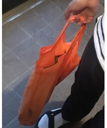 エコバック | エコバッグ/サブバッグ