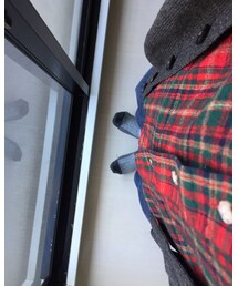 PENDLETON | シャツ/ブラウス