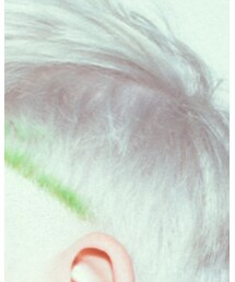 pulpriot | シャンプー