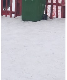 snow | その他