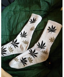 HAF | ソックス/靴下