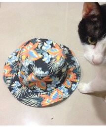 艾咪E舖購入(キャップ)