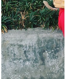 赤ちゃん本舗 | ソックス/靴下